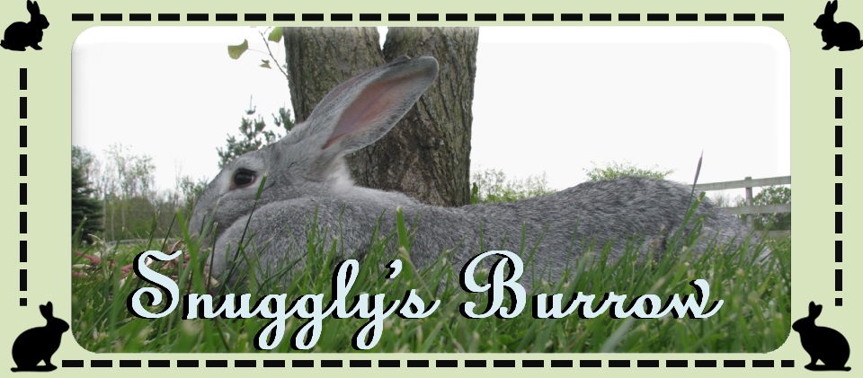 Snuggly's Burrow